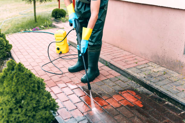 Best Exterior Home Cleaning  in Oak Park, MI