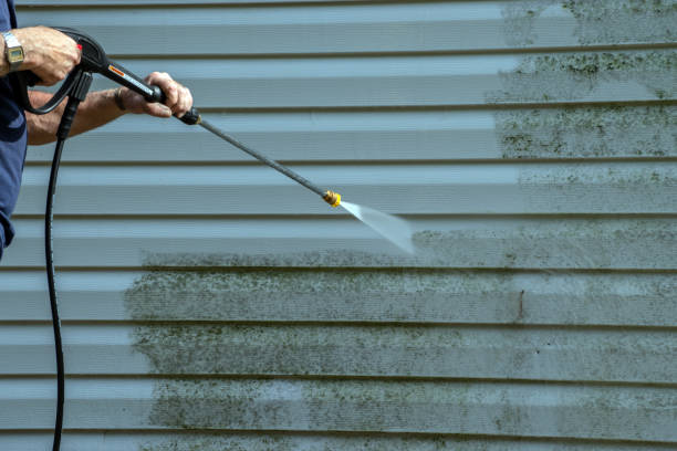 Best Roof Power Washing Services  in Oak Park, MI